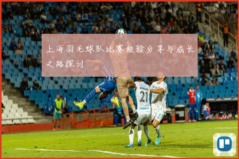 上海羽毛球队比赛经验分享与成长之路探讨