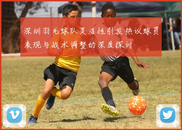 深圳羽毛球队灵活性引发热议球员表现与战术调整的深度探讨