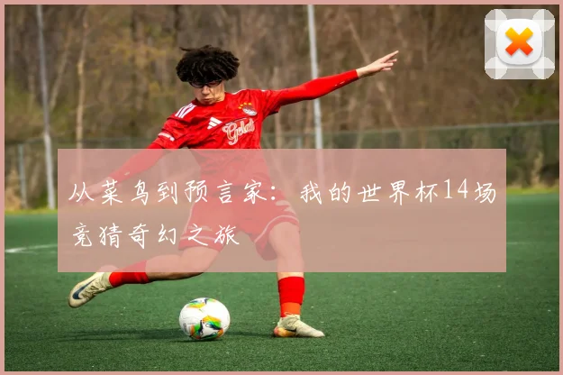 从菜鸟到预言家：我的世界杯14场竞猜奇幻之旅